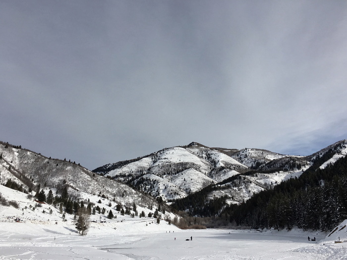 冻原山，雪，冬天，白色，寒冷，天气，冰，树