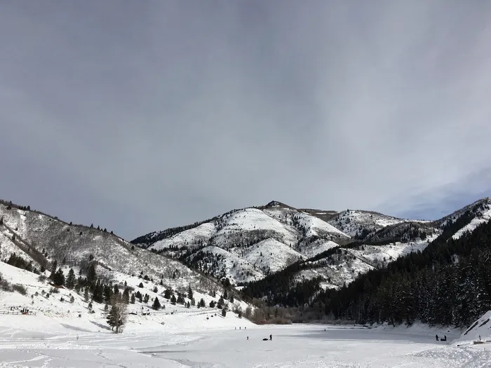 冻原山，雪，冬天，白色，寒冷，天气，冰，树