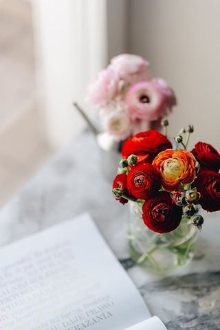 2018年《Vogue波兰2》与可爱的毛茛花