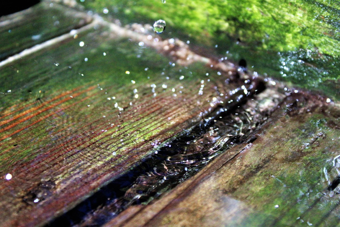 水滴，木头，夏天，自然，水泵，滴水，水，潮湿