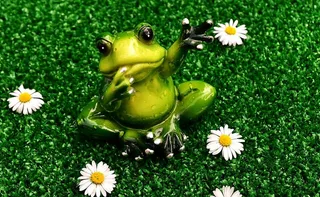 青蛙，挥手，告别，有趣，可爱，身材，甜蜜，自然