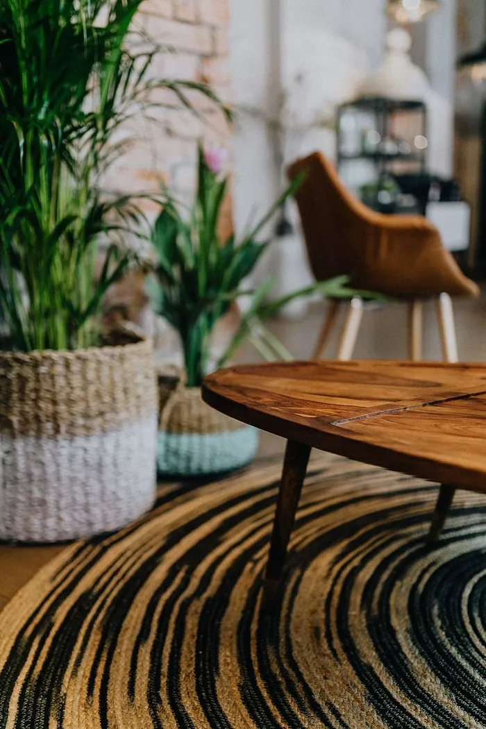 带有绿色植物的现代室内细节