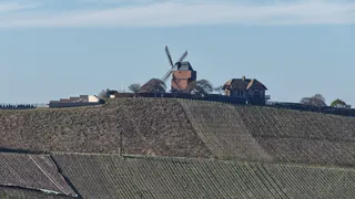 自然，户外，农场，乡村，乡村，田野，法国，verzenay