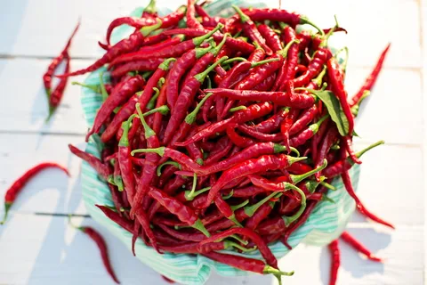 辣椒,红辣椒,辣椒,收获,辣椒,食品,烹饪,新鲜 辣椒,红辣椒,辣椒,收获,辣椒,食品,烹饪,新鲜
