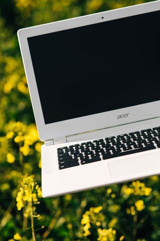 笔记本电脑、手机和春油菜田