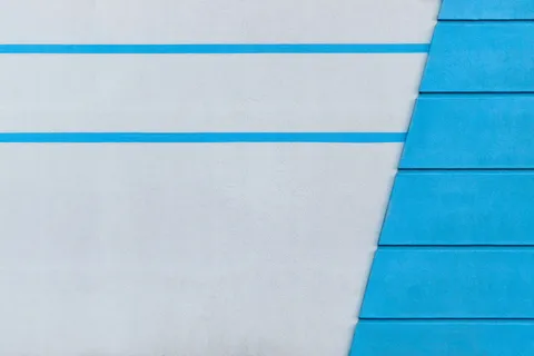 蓝色和白色文件夹插图