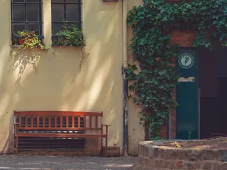 德国，科隆，树叶，箔材，暖气，入口，门，建筑物