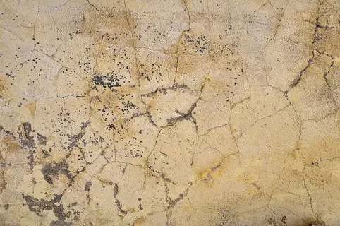 裂缝、米色、涂漆、表面、墙壁、背景、壁纸、背景图像 裂缝、米色、涂漆、表面、墙壁、背景、壁纸、背景图像