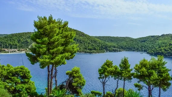 希腊,斯科佩洛斯,安德里恩斯,风景,树木,岛屿,希腊,斯波拉德 希腊,斯科佩洛斯,安德里恩斯,风景,树木,岛屿,希腊,斯波拉德