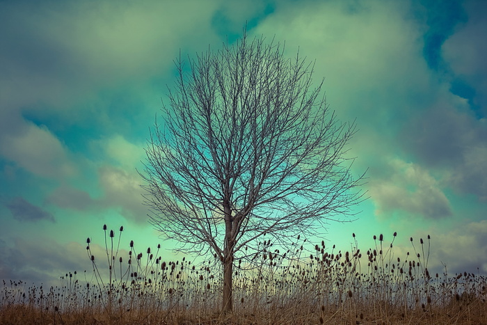 机会，天气，多云，黄色，蓝色，绿色，颜色，抽象