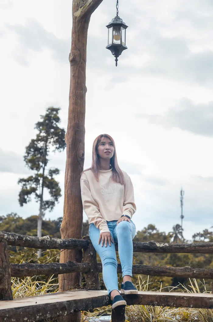 坐在棕色木栏杆上的女人