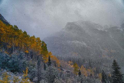 山上树木的鱼眼摄影 山上树木的鱼眼摄影