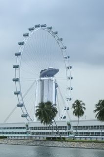 新加坡、flyer、image、摩天轮、游乐园、游乐园游乐设施、天空、建筑