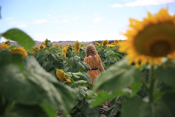 澳大利亚，阿洛拉，昆士兰州，女孩，印度女孩，嬉皮士女孩，嬉皮士，女士，自然