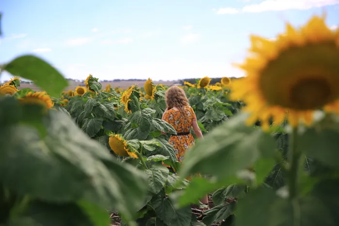 澳大利亚，阿洛拉，昆士兰州，女孩，印度女孩，嬉皮士女孩，嬉皮士，女士，自然