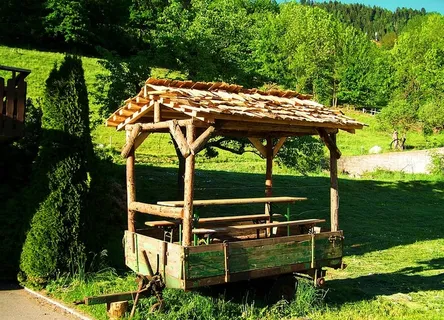 拖车，野餐桌，花园家具，植物，树木，绿色，自然，生长