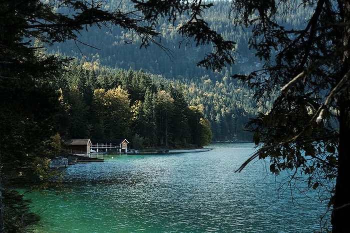 湖景，棕色，房子，森林，身体，水，湖，蓝色