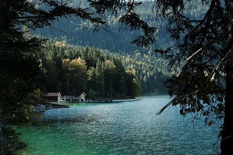湖景,棕色,房子,森林,身体,水,湖,蓝色 湖景,棕色,房子,森林,身体,水,湖,蓝色