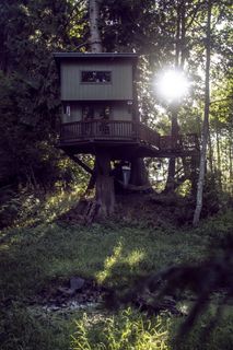 美国、奥林匹亚、魔法森林、黄金时刻、日落、自然、户外、灯光