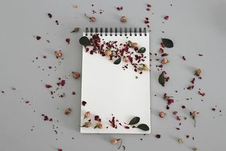 平面摄影，叶子，白色，笔记本，笔记，叶子，书，笔记