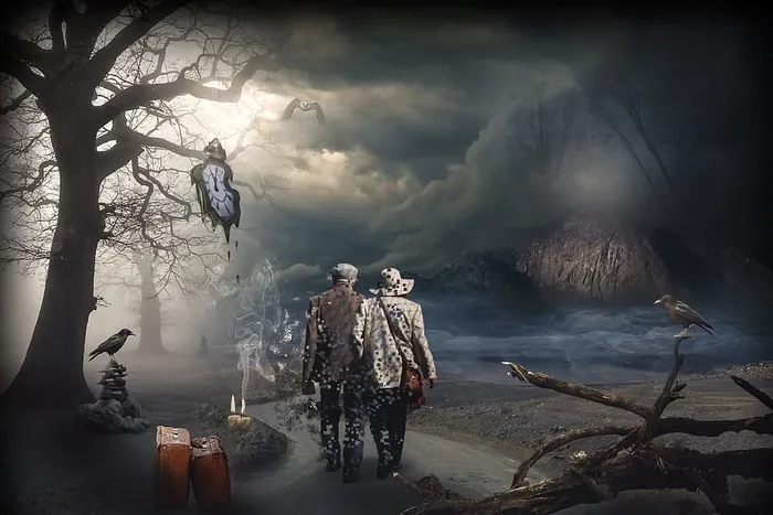 二，男人，走路，幽灵，森林墙纸，人类，烟雾，神秘