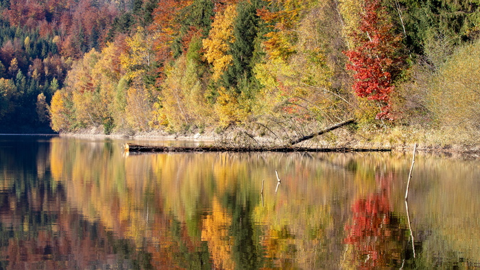 森林、湖泊、树木、倒影、景观、秋天、秋天、山脉