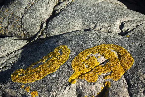 海岸、岩石、海洋、景观、河岸、石头、自然、法本斯皮尔