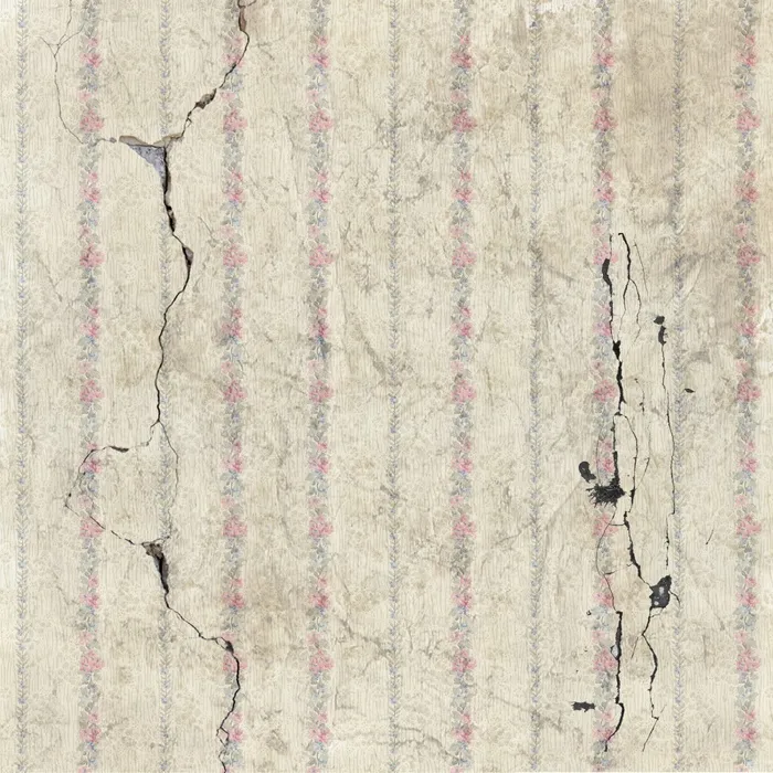 古董、破损、建筑、施工、损坏、损坏、地震、立面