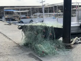 港口，渔网，捕鱼，渔夫，海，绳索，鱼，船