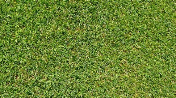 草地，草地，绿色，足球，足球场，背景，纹理，加松格拉斯