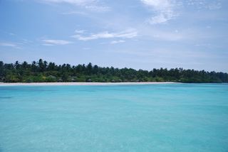 大海，马尔代夫，风景，海滩，白沙，风景-自然，水，树