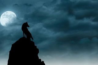 山顶上的狼的剪影，在月亮和云层下。