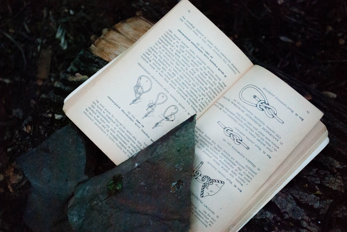 纸张、文献、书籍、旧的、文档、节点、文本、通信