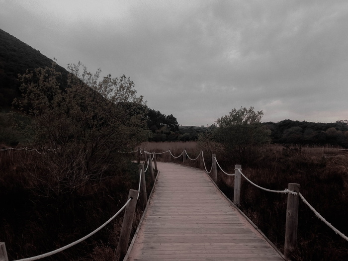 西班牙，noja，方向，前进之路，植物，天空，树木，云天