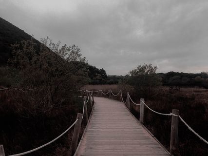 西班牙，noja，方向，前进之路，植物，天空，树木，云天