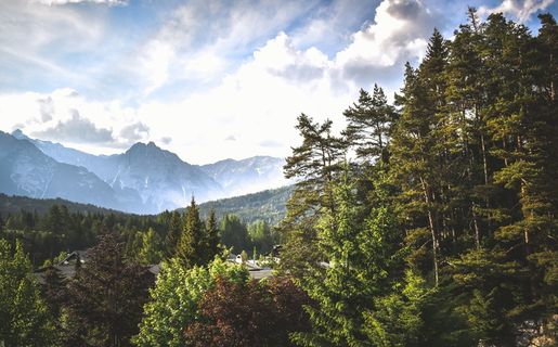 山脉，树木，荒野，风景，白天，云，天空，山脉