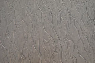 纹理，木材，沙子，胶合板，野生动物，动物，哺乳动物，大象