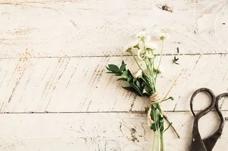 明亮、花朵、树叶、乡村、剪刀、表面、纹理、木材