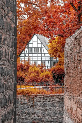 房屋、自然、景观、建筑、秋天、树叶、石头、墙壁