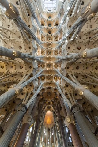 sagrada família，巴塞罗那，西班牙，建筑，高迪，sagrada，familia，低角度视图