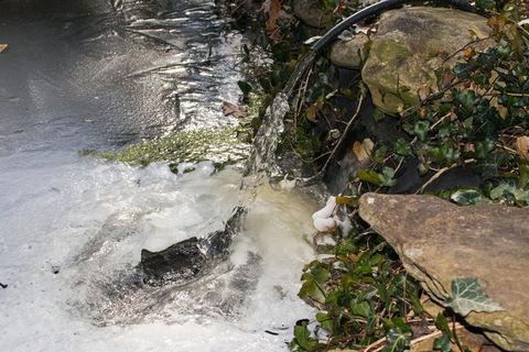 美国，橡树岭，冰，冬天，冰冻的池塘，自然，天气，水