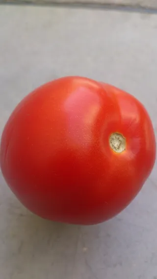 食品，健康，桌面，颜色，水果，蔬菜，新鲜度，夏季