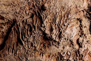 美国，松，托托自然桥州立公园，形成，自然桥，佩森，纹理，全框架