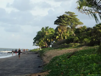 海滩、布尔达、卡宴、天空、植物、海洋、树木、人群 海滩、布尔达、卡宴、天空、植物、海洋、树木、人群