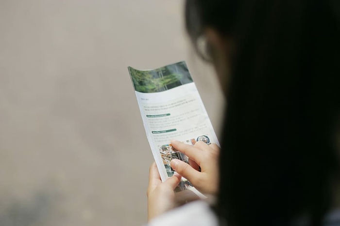 女人，黑人，头发阅读目录，指南，浏览，探索，小册子，持有