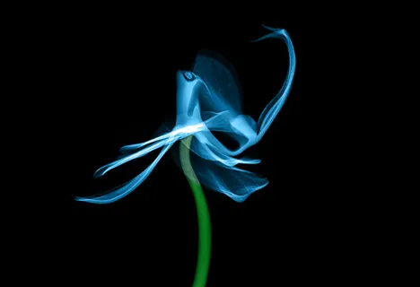 蓝色和绿色点亮的插图