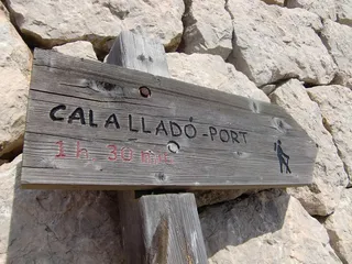 目录、盾、注释、路标、方向、轨迹、路标、箭头