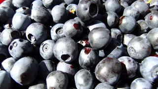 适当的营养，蓝莓，浆果，新鲜，健康，食物，治疗，食欲