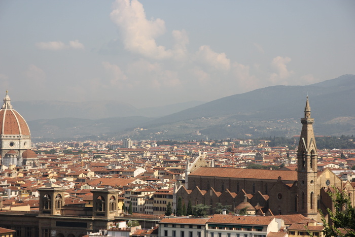 意大利，佛罗伦萨，建筑，观景台，城市，大教堂，旅游，建筑