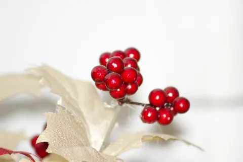 塑料，花，塑料花，花，红花，食品和饮料，水果，红色